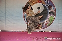 VBS_4658 - Festival dell'Oriente 2022